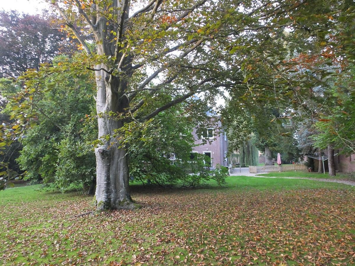 L'Escarbotine Bed & Breakfast Friville-Escarbotin Luaran gambar