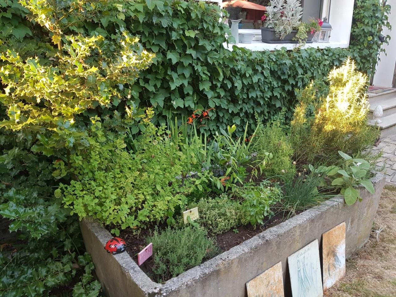 L'Escarbotine Bed & Breakfast Friville-Escarbotin Luaran gambar